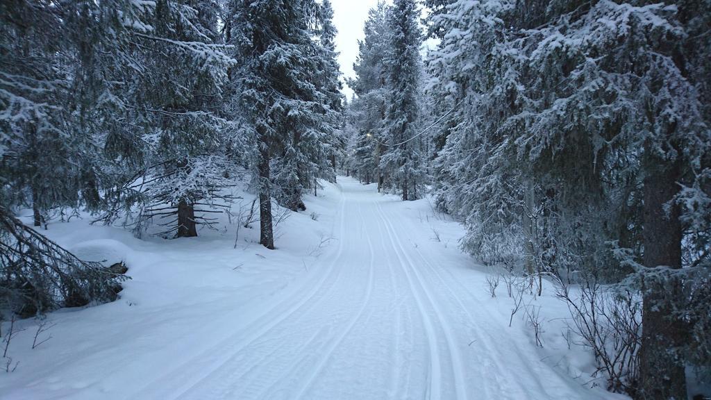 Lapland Snow Cabin Masugnsbyn Екстериор снимка