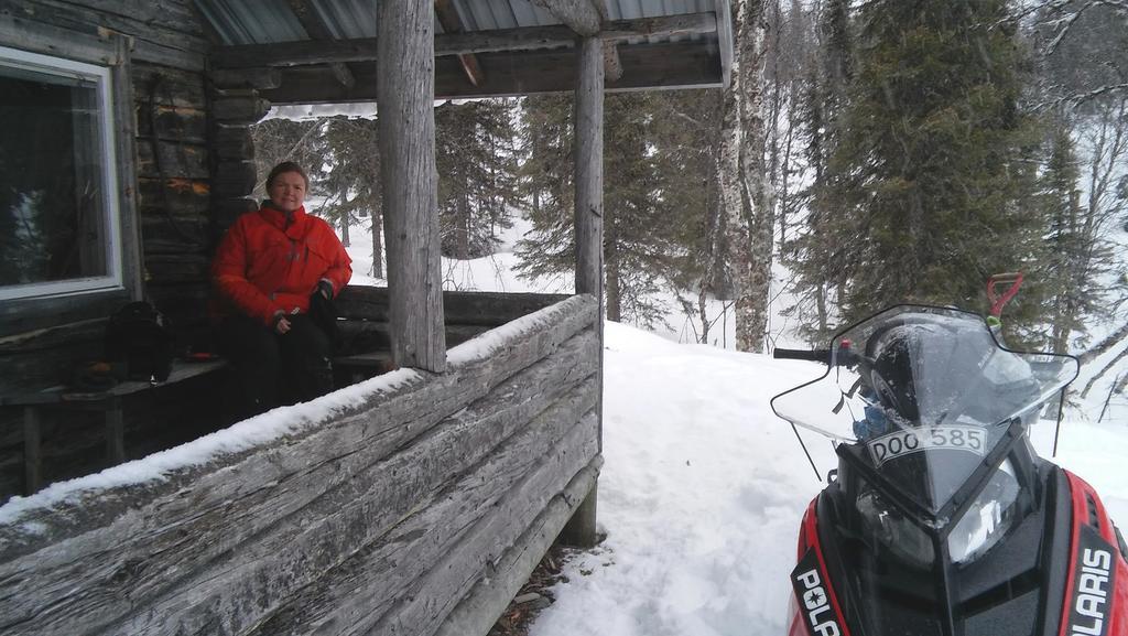Lapland Snow Cabin Masugnsbyn Екстериор снимка