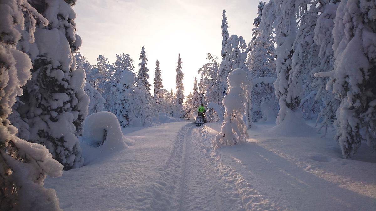 Lapland Snow Cabin Masugnsbyn Екстериор снимка